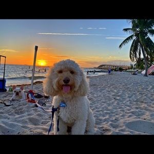 Meet your Posher, Maitee